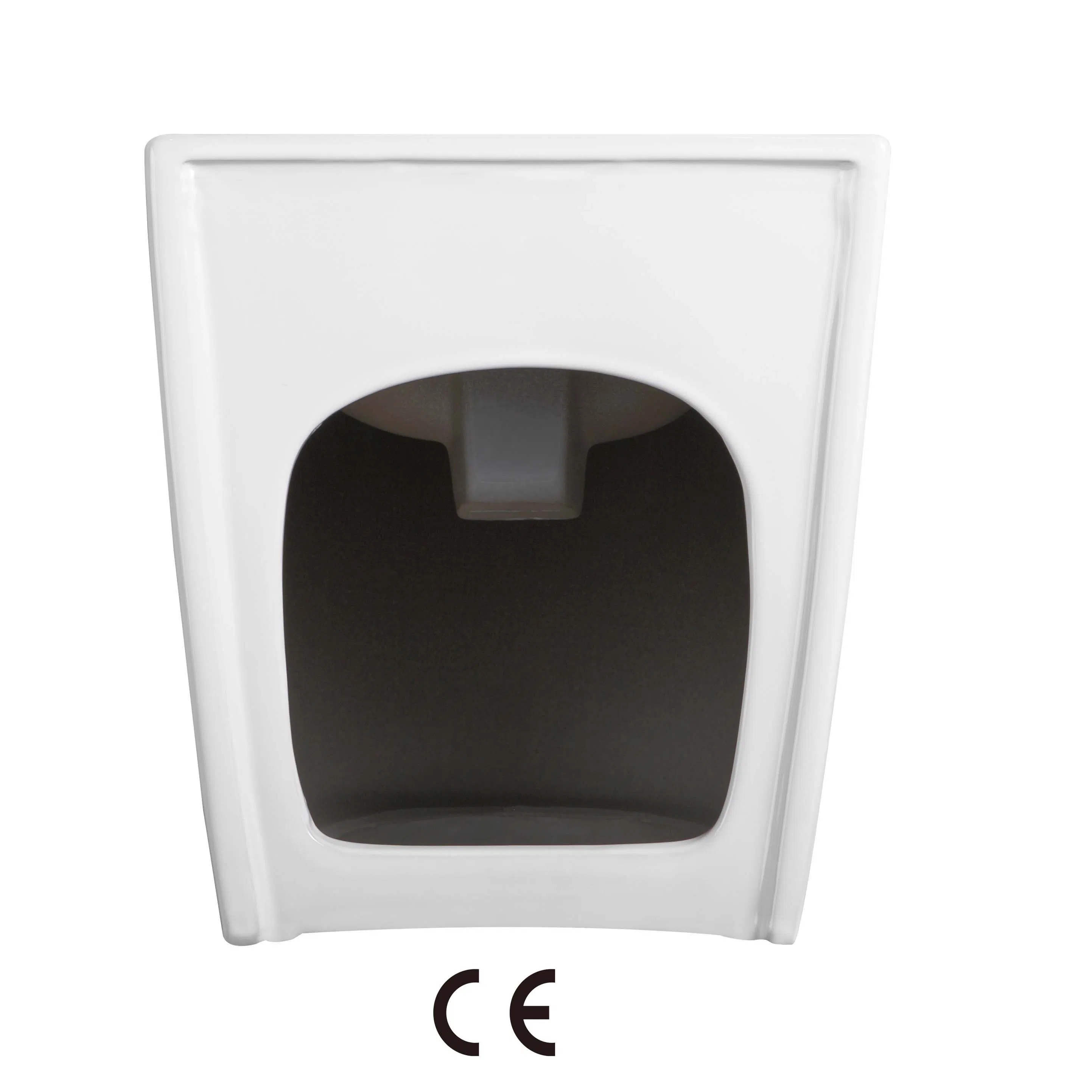 Gloss White Fixing to Wall with Back Floor Standing Bidet