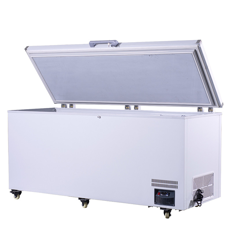 Large Capacity Low Temperature Fish Meat Frozen Report Fresh-Keeping Deep Freezer