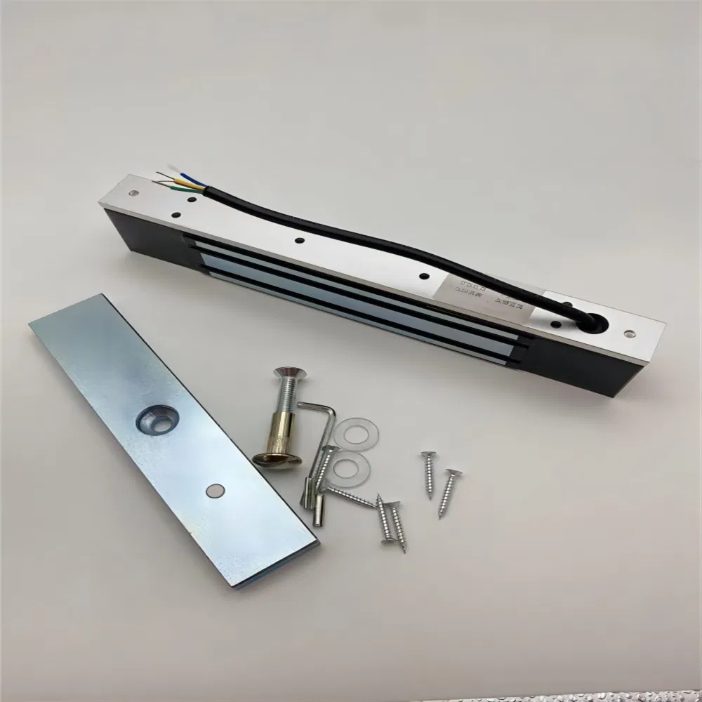 Hot Sale Double Door Delay Feedback Magnetic Lock