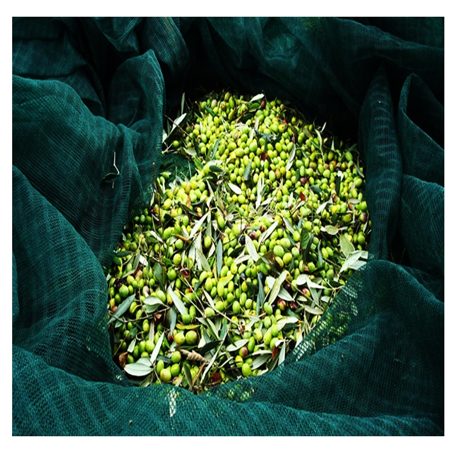100% New HDPE Agriculture Fruit Harvest Collection Net