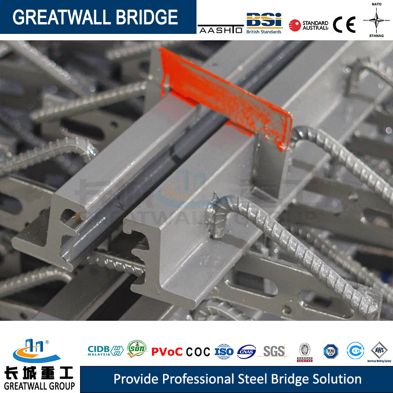 Multiple Gaps Modular Expansion Joint Systems for Bridge Construction