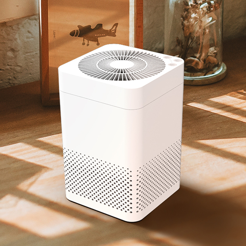Elegant Air Purifier with Air Freshener and Ozone Generator