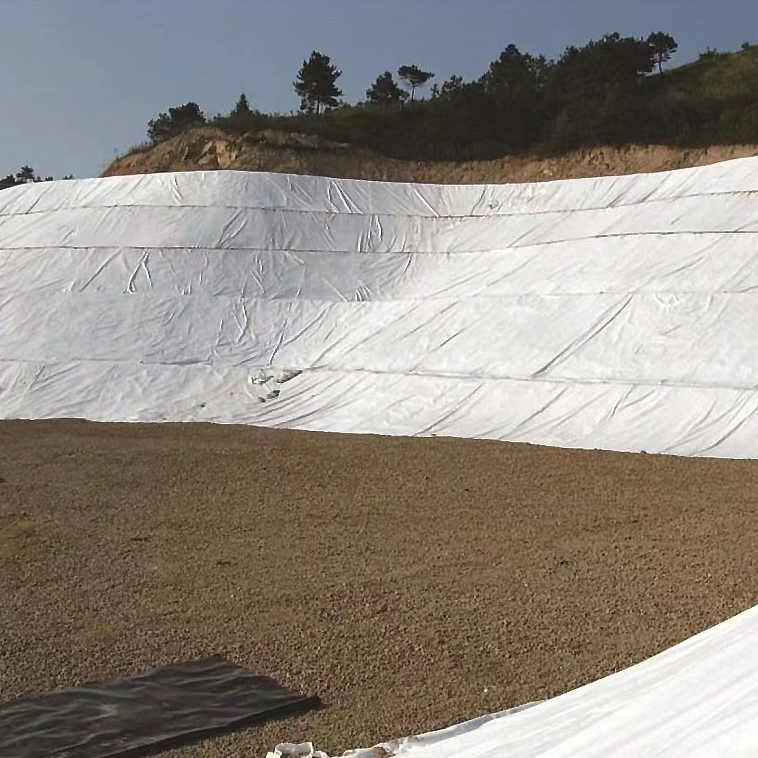 Long-Lasting PP/Pet Nonwoven Geotextile Solution for Drainage and Containment