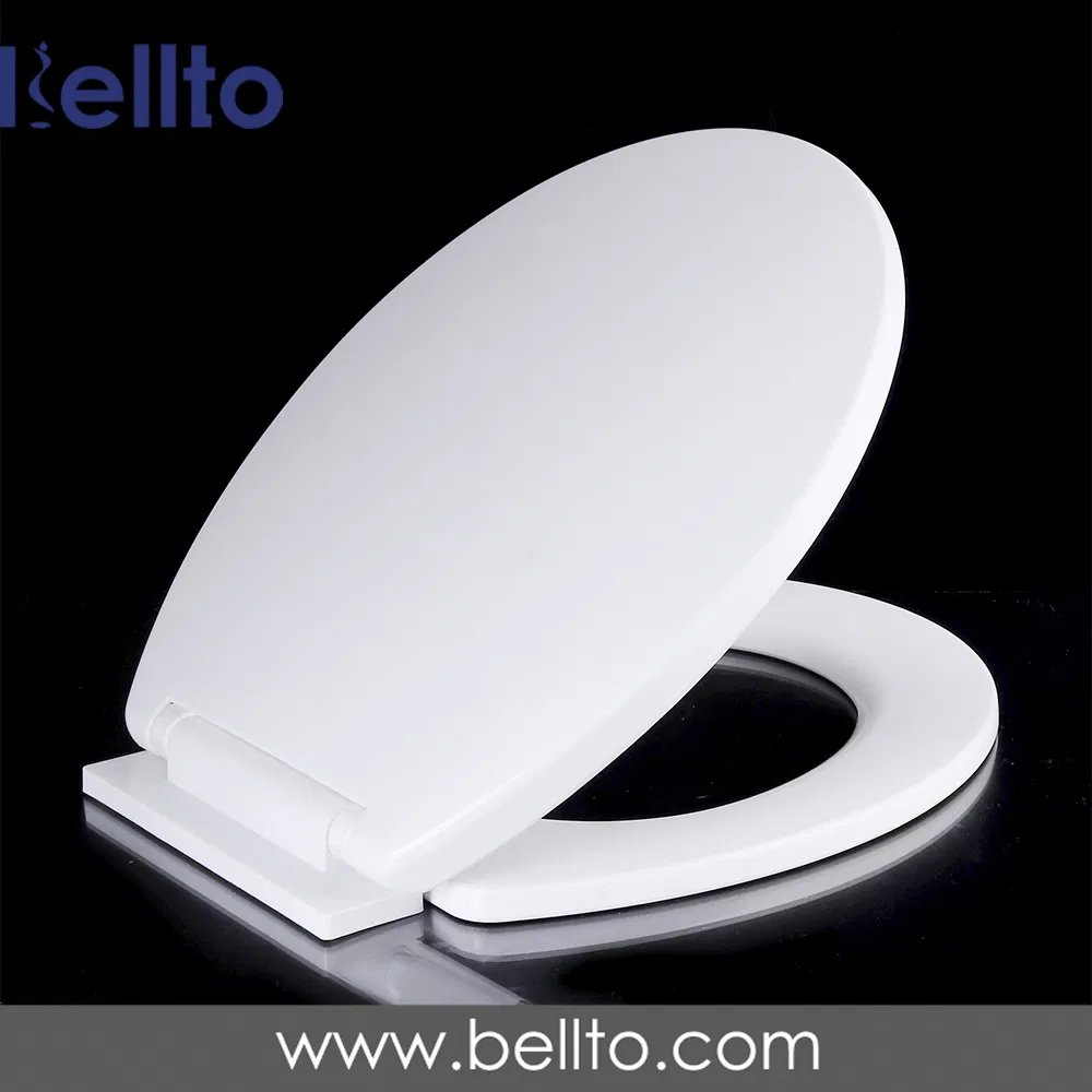 High Quality New UK European market style bus toilet seat for lavatory