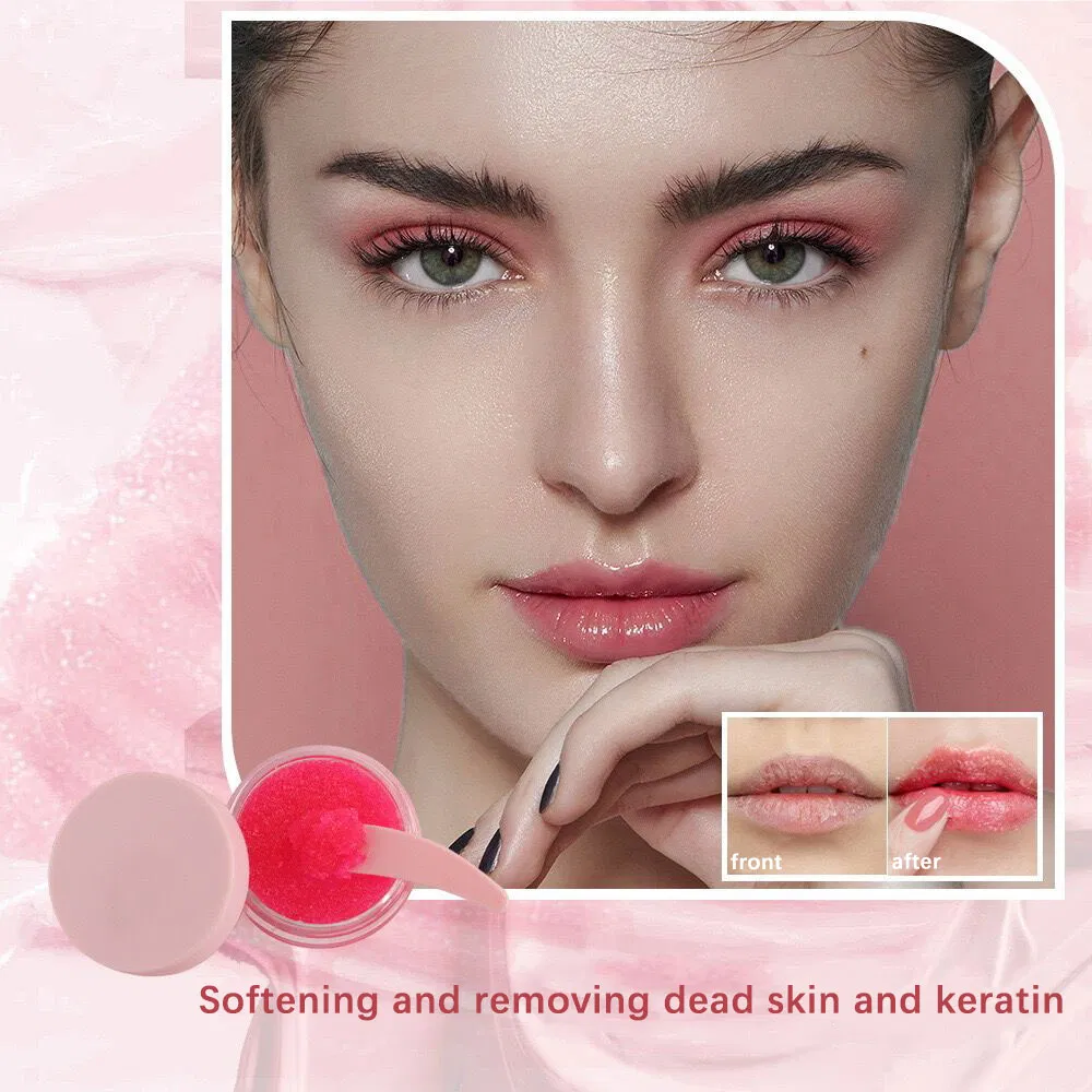 Cruelty Free Wholesale Vegan Lip Care Moisturizing Hydra Oil Lip Balm Lip Scrub