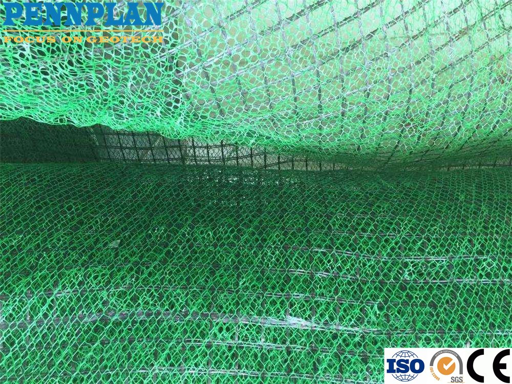 Lawn Coverage/Slope Protection/Three-Dimensional Geomat Ecological Vegetation Network