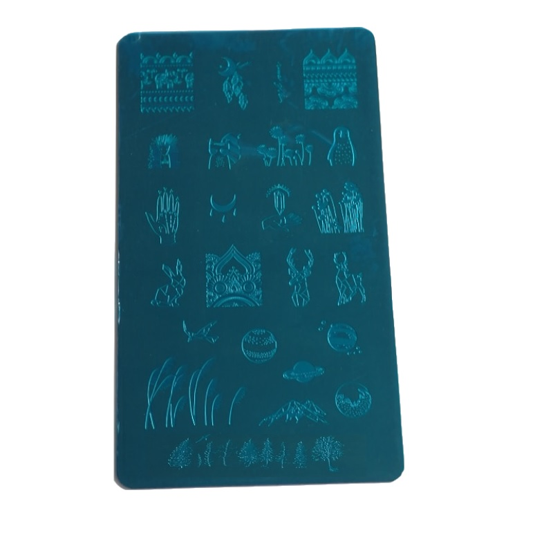 Nail Manicure Plates Polish Stamper Scraper Set Nail Art Stamp Plate