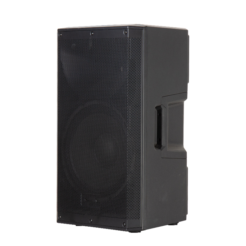 Активная акустика 1000W для диджеев и мероприятий