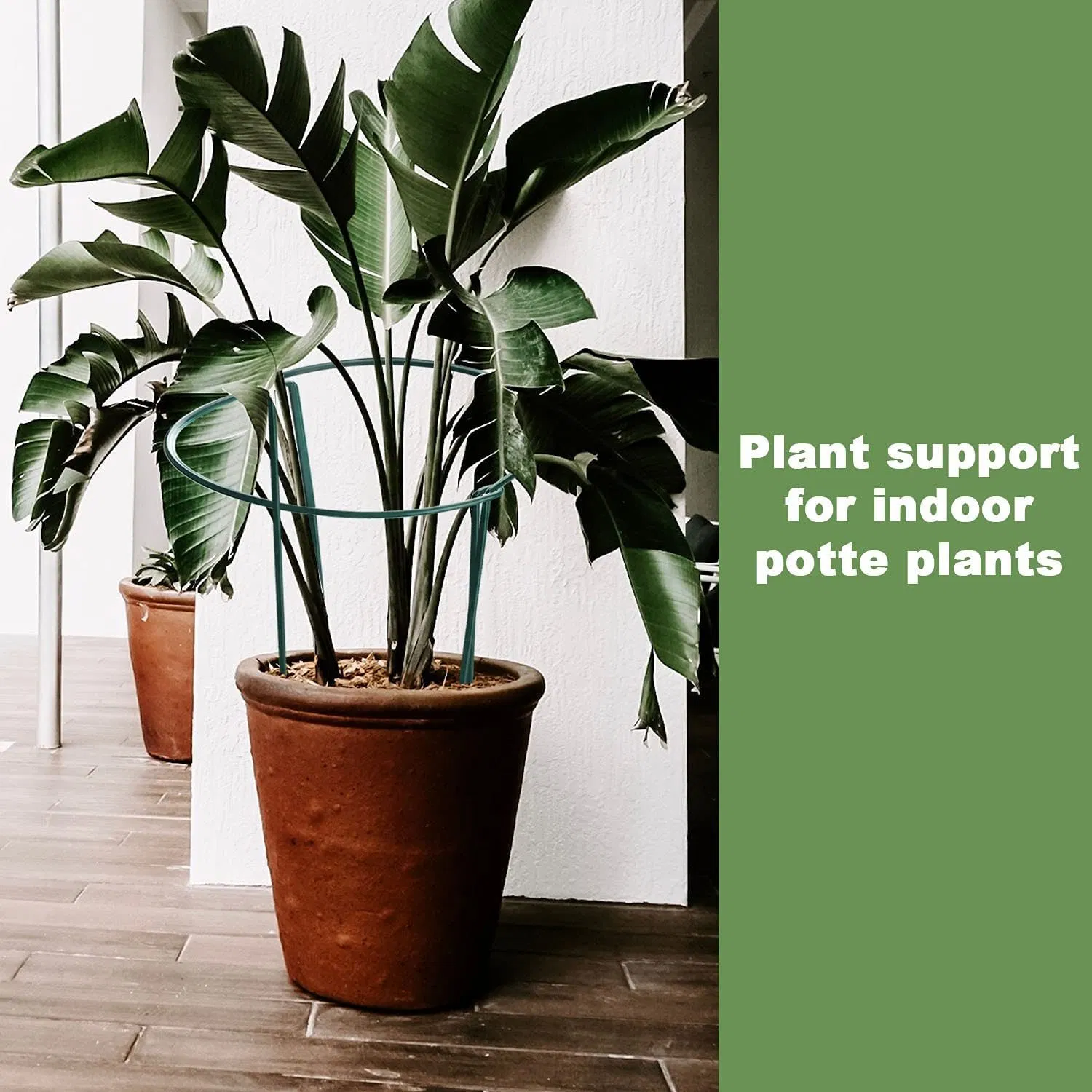 Flower and Plant Support, Inner Black Wire + Powder Coated Green