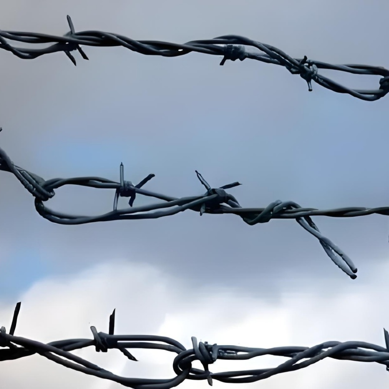 Factory Direct Galvanized Barbed Wire for Effective Fencing Solutions