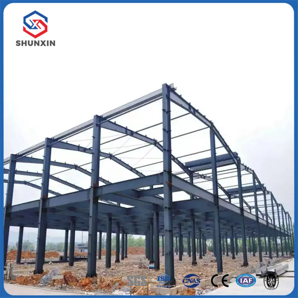Custom Prefabricated Steel Structures Building for Shopping Malls and Warehouses