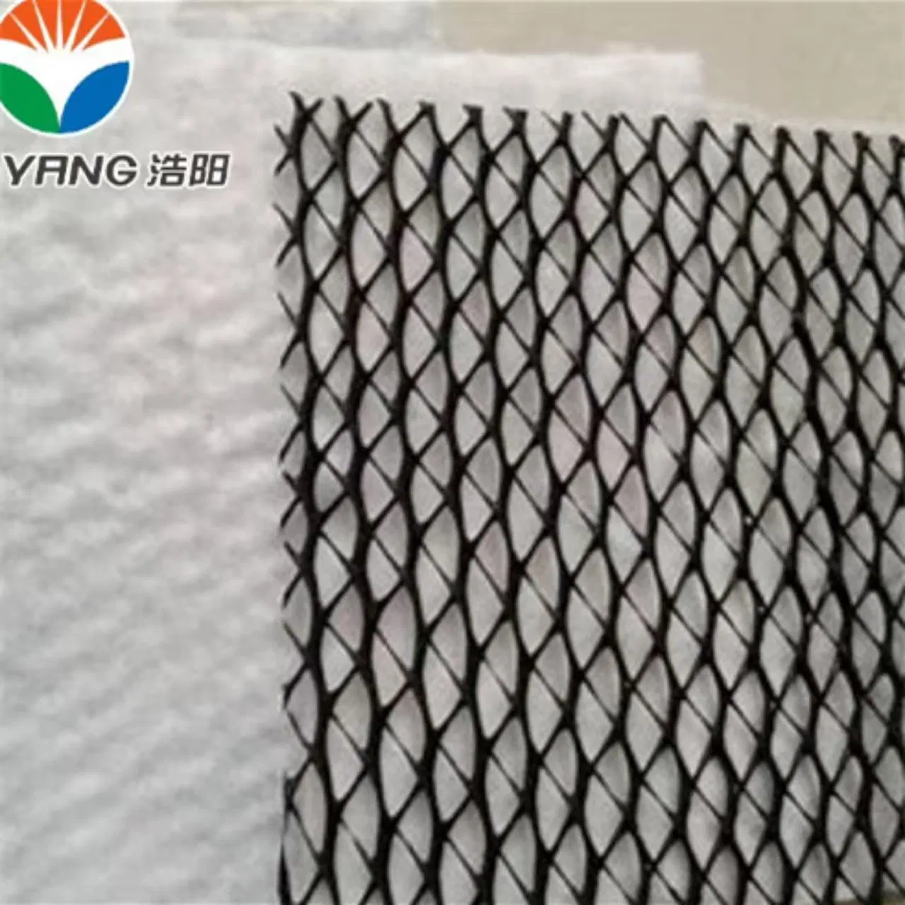 HDPE High Quality Geonet for Railway Drainage