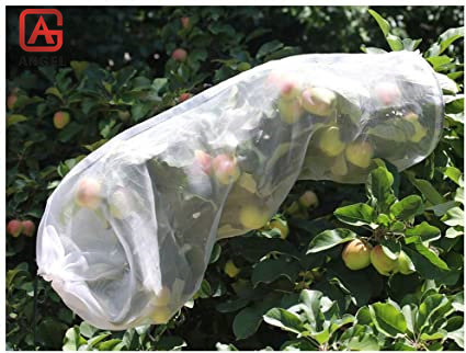 Wholesale Agricultural PP Nonwoven Fabric Protective Bag for Fruit