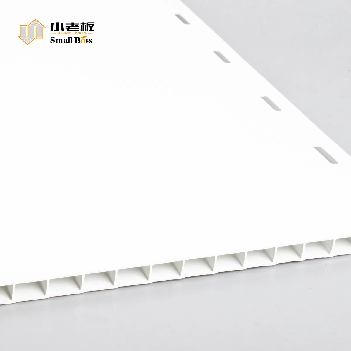High Gloss White PVC Wall Ceiling Panels for Car-Wash Wall and Roof