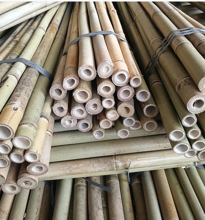 The Best Quality Bamboo Poles From China