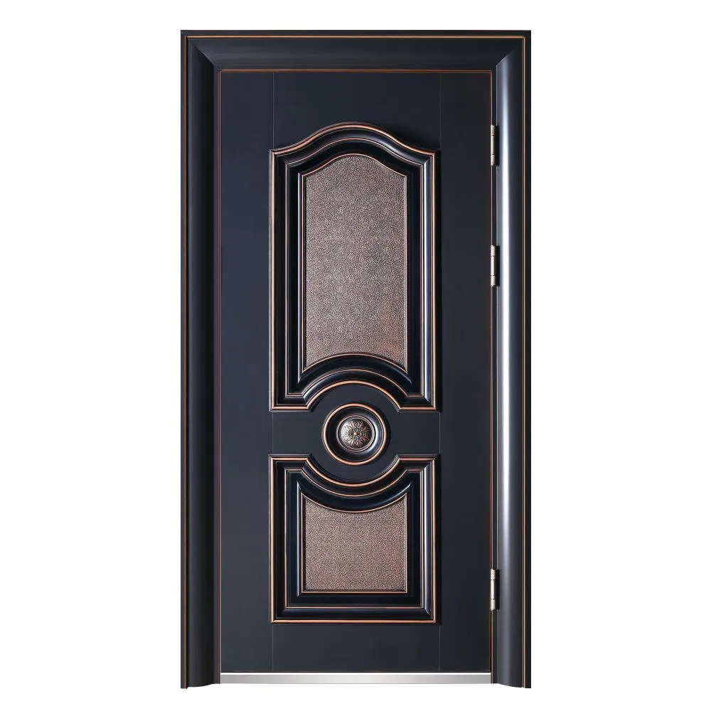 Stylish Steel Security Door Designed for Maximum Safety