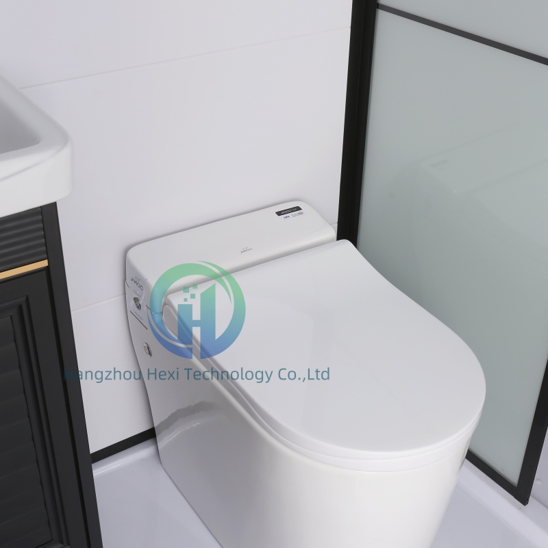 Compact Prefab House Toilet with Advanced Sanitary Features