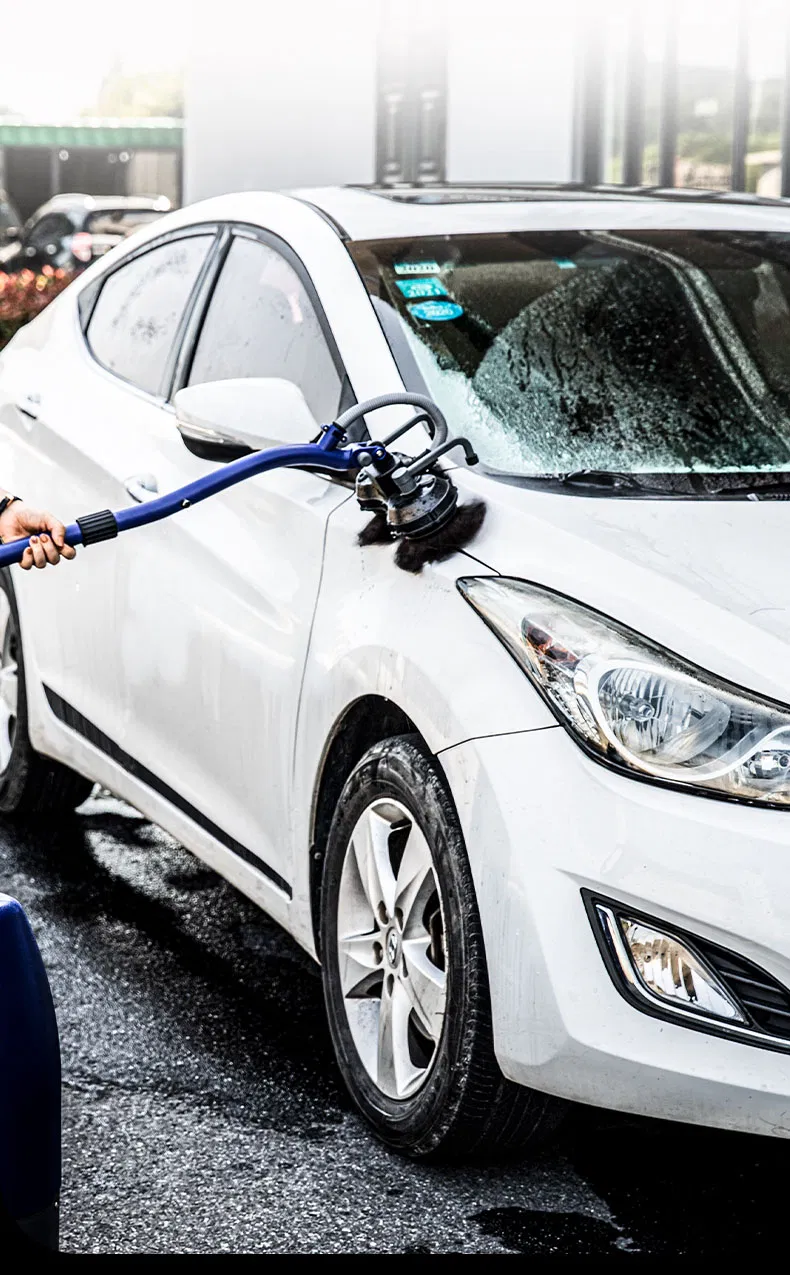 Electric High Pressure Washer for Car Cleaning