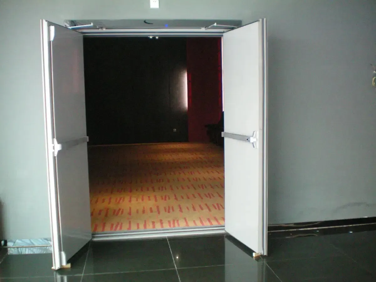 High Performance Emergency Fireproof Doors for Market