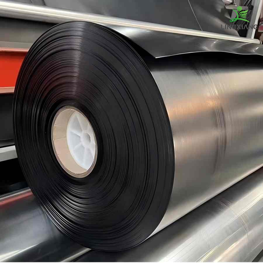 Reliable Waterproof Geomembrane for Fish Shrimp Pond and Biogas Applications Swimming Pool Agricultural Agriculture Aquaculture Water Storage Pool PVC Liner