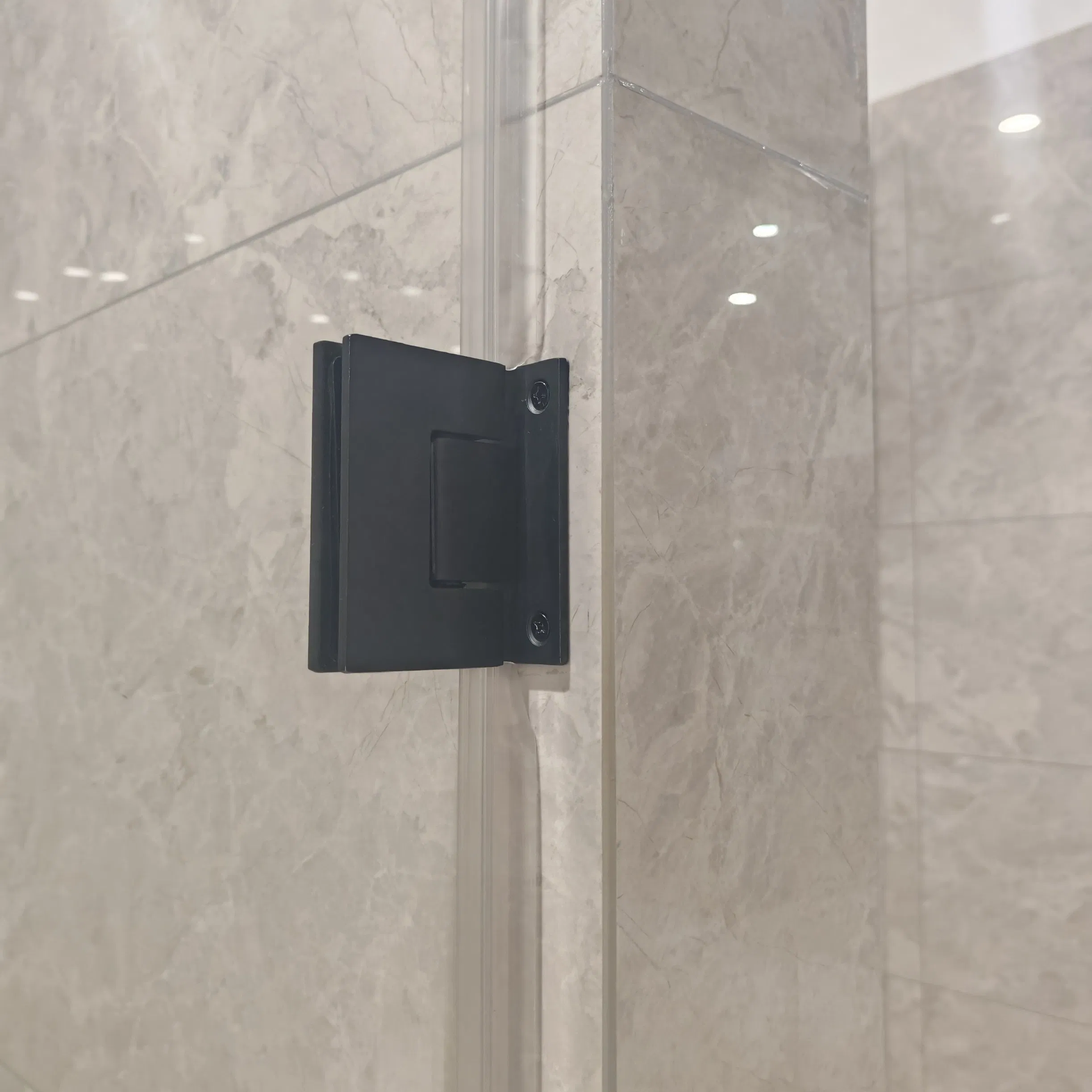 Modern Bathroom New Product High Quality Stainless Steel Pivot Hinge Shower Door