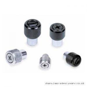 Pem Fastener PF09 PF10 PF91 Stainless Steel Captive Screw with Spring