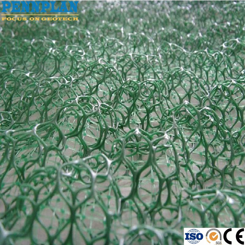3D HDPE Geomat for Slope Protection Erosion Control Mat Geomat