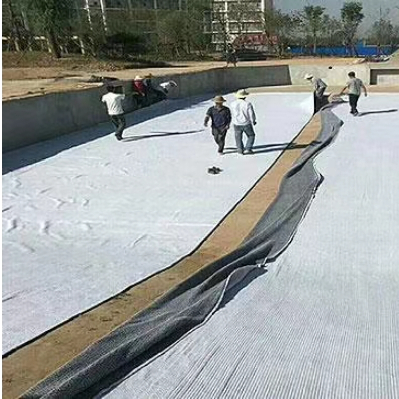 Highway & Railway Infrastructure: Premium Gcl Bentonite Waterproofing Mats for Soil Stabilization