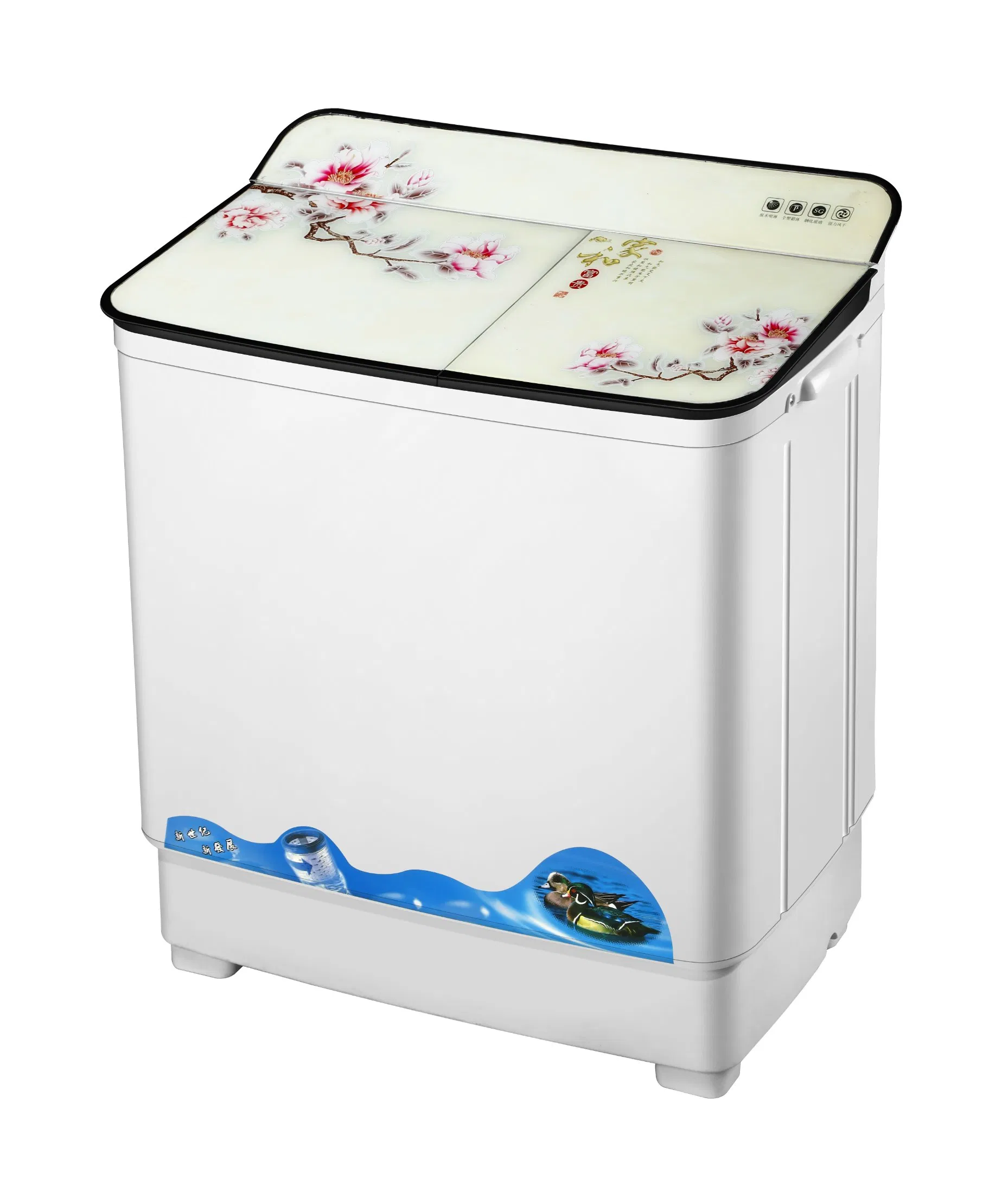 Twin Tub Washing Machine Portable Mini Washing Machine