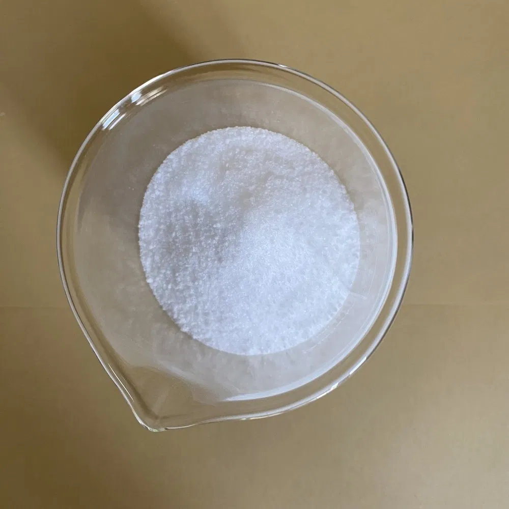 High-Grade Additive CAS 527-07-1 Sodium Gluconate for Enhanced Cement Performance Solutions