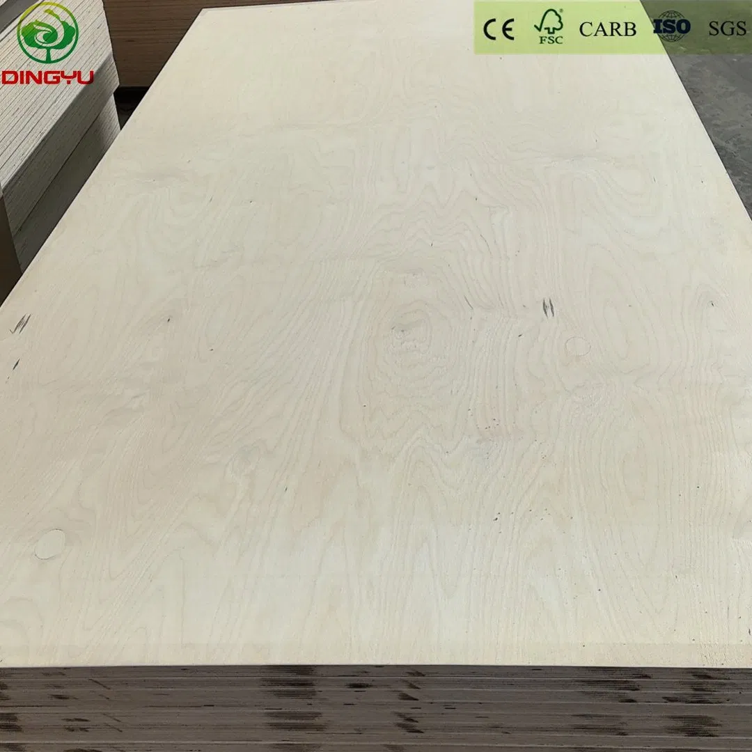 High Quality Okoume/Bintangor/Pencil Cedar/Poplar/Birch/Pine Faced Plywood Used for Furniture