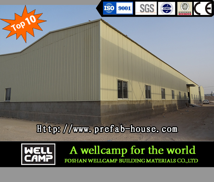 Wellcamp Hot-Sale Steel Structure Cowshed