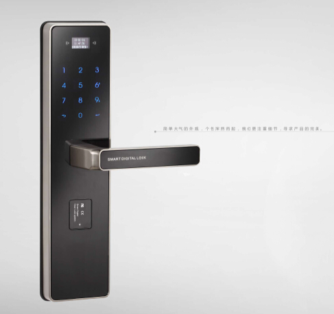 Black Smart IC Card Intelligent Door Lock Fingerprint