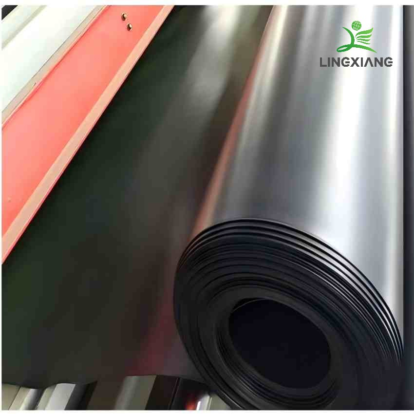Durable Biogas Waste Geomembrane for Agricultural Pond Applications Dam Landfill Lake Biogas Mining Fish Shrimp Farm Pond Liner Swimming Pool Agricultural Agric