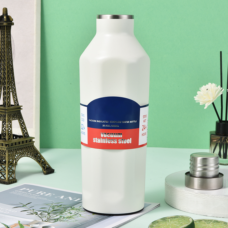 20oz Insulated Stainless Steel Water Bottle Plastic Free Copper Coating