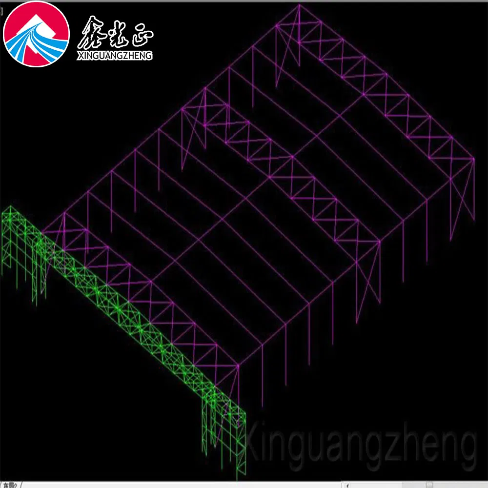 Steel Structure Hangar Building for Airplane/Aircraft with After-Scale Service