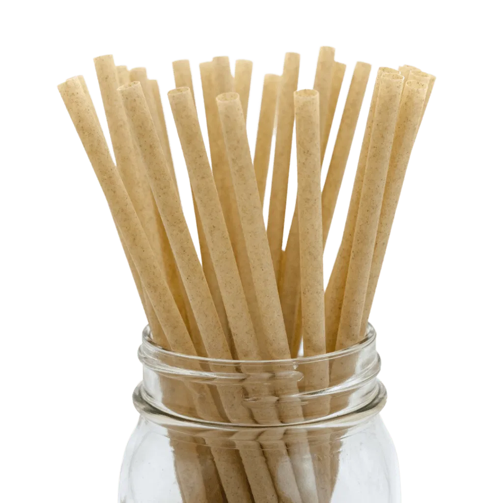 Eco-Friendly PLA Plastic Drinking Straws Biodegradable Sugarcane Fiber Bubble Tea Kitchen Christmas Halloween Decor