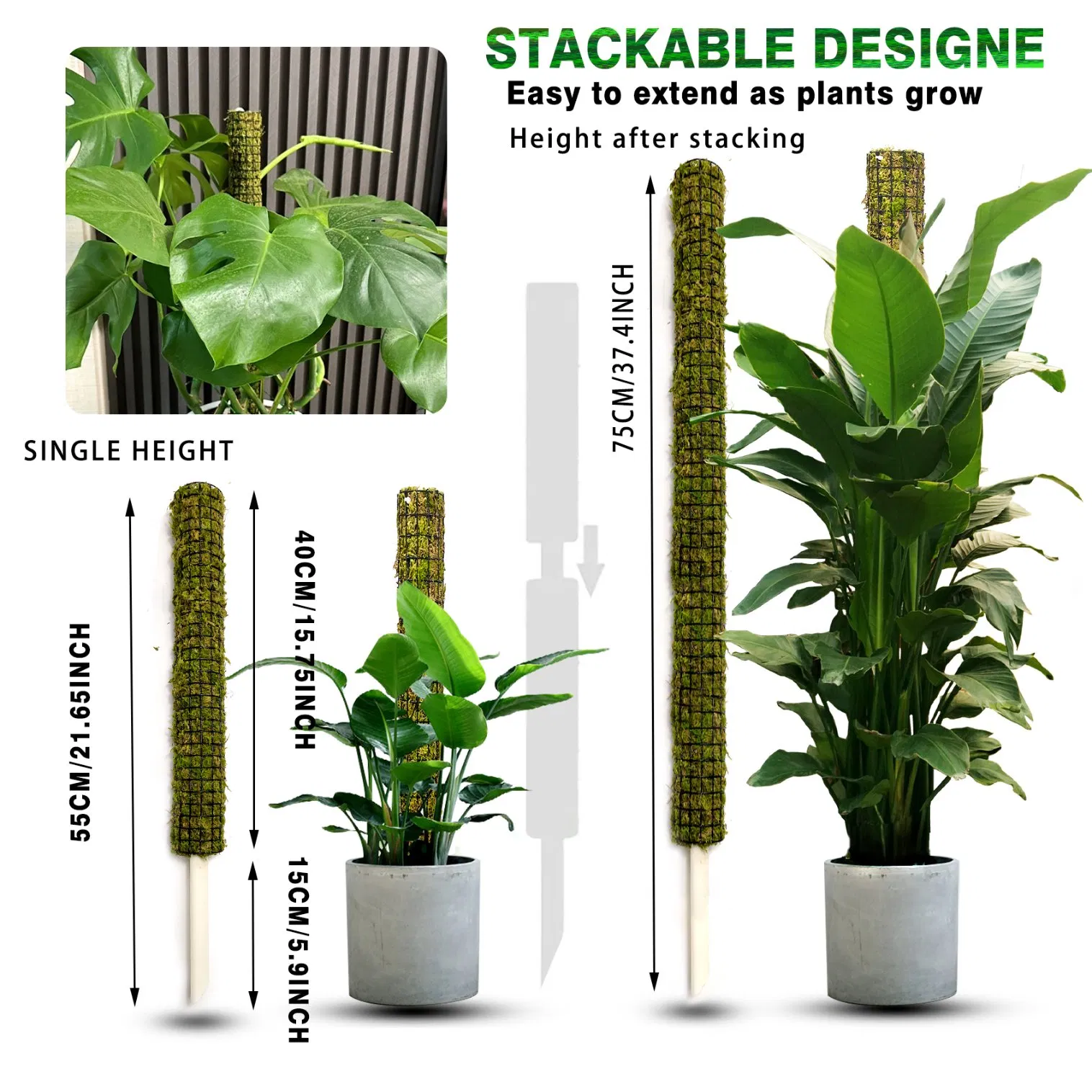 Tropical Plant-Suitable Green Moss Plant Support Pole for Aroid Climbers Bird of Paradise Vertical Growth