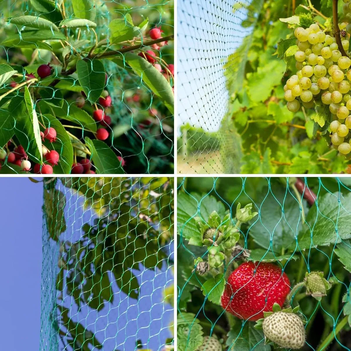 Plastic Trellis Netting for Birds, Deer, Squirrels