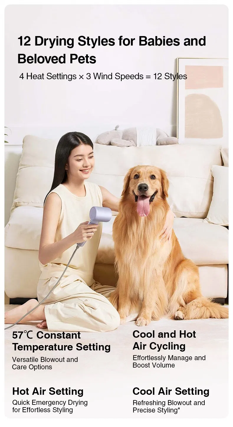 OEM Custom 110000rpm HS05 HS01 Dy Super Air Wraps Sons Hairdryer