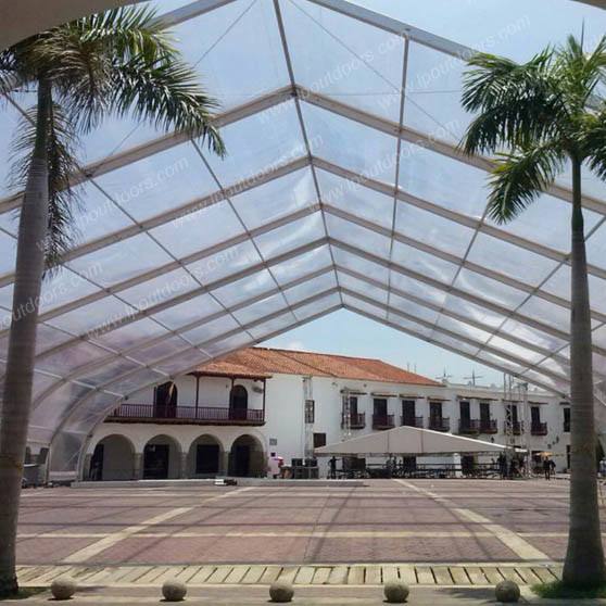 China Garage Shelter TFS Temporary Building Structure Tent for Swimming Soprts Hall