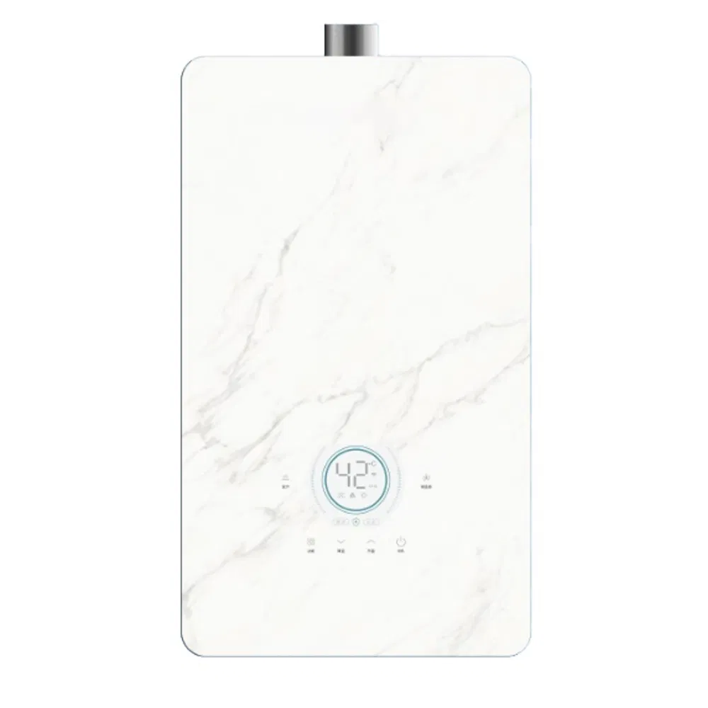 Flue Type Natural 12L 16L Gas Water Heater for Bathroom Shower