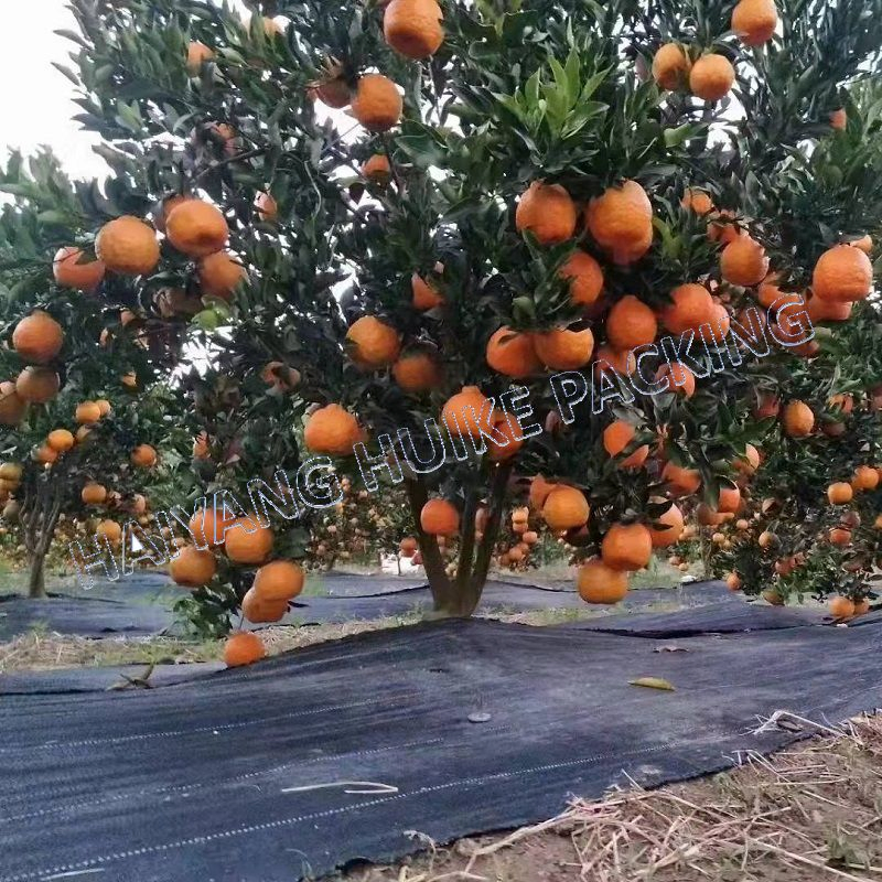 PP Plastic Fabric Woven Geotextile Weed Mat Ground Cover