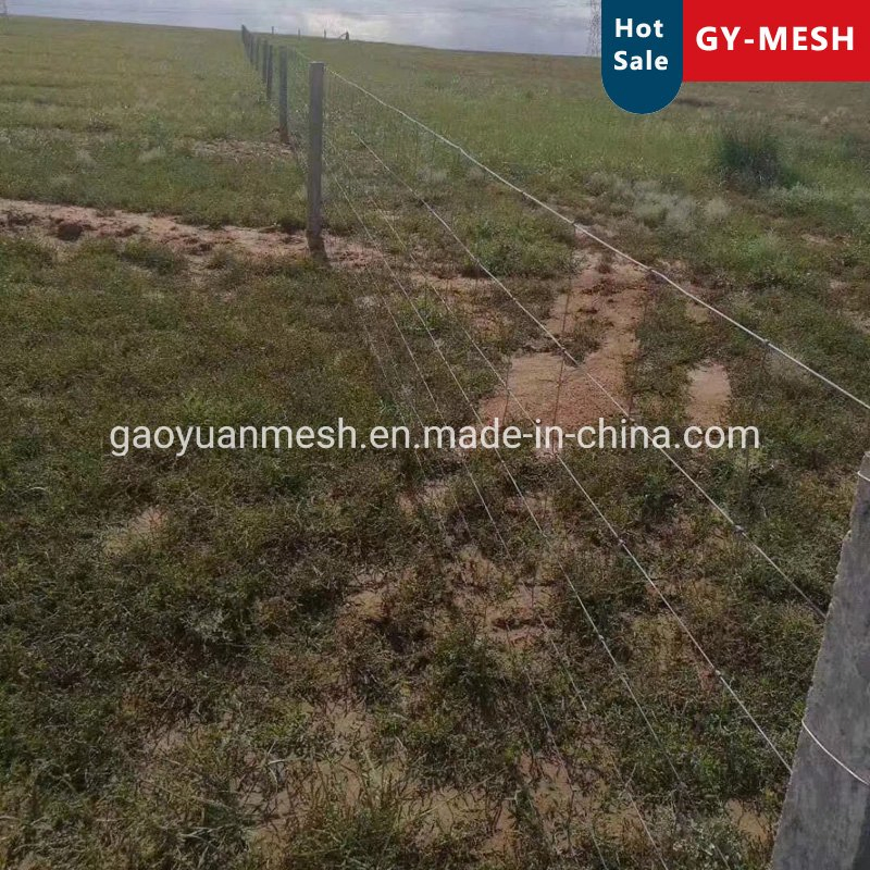 High Quality Field Fence and Fence T Post Application
