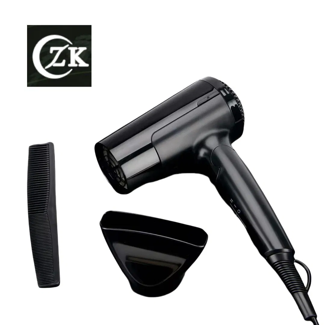 Medium Size Home-Use Negative Ion Dual Voltage DC Motor 1600W Hair Dryer
