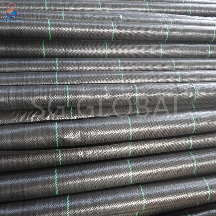 China Wholesale 120GSM Black PP Woven Ground Cover Weed Barrier Landscaping Fabric