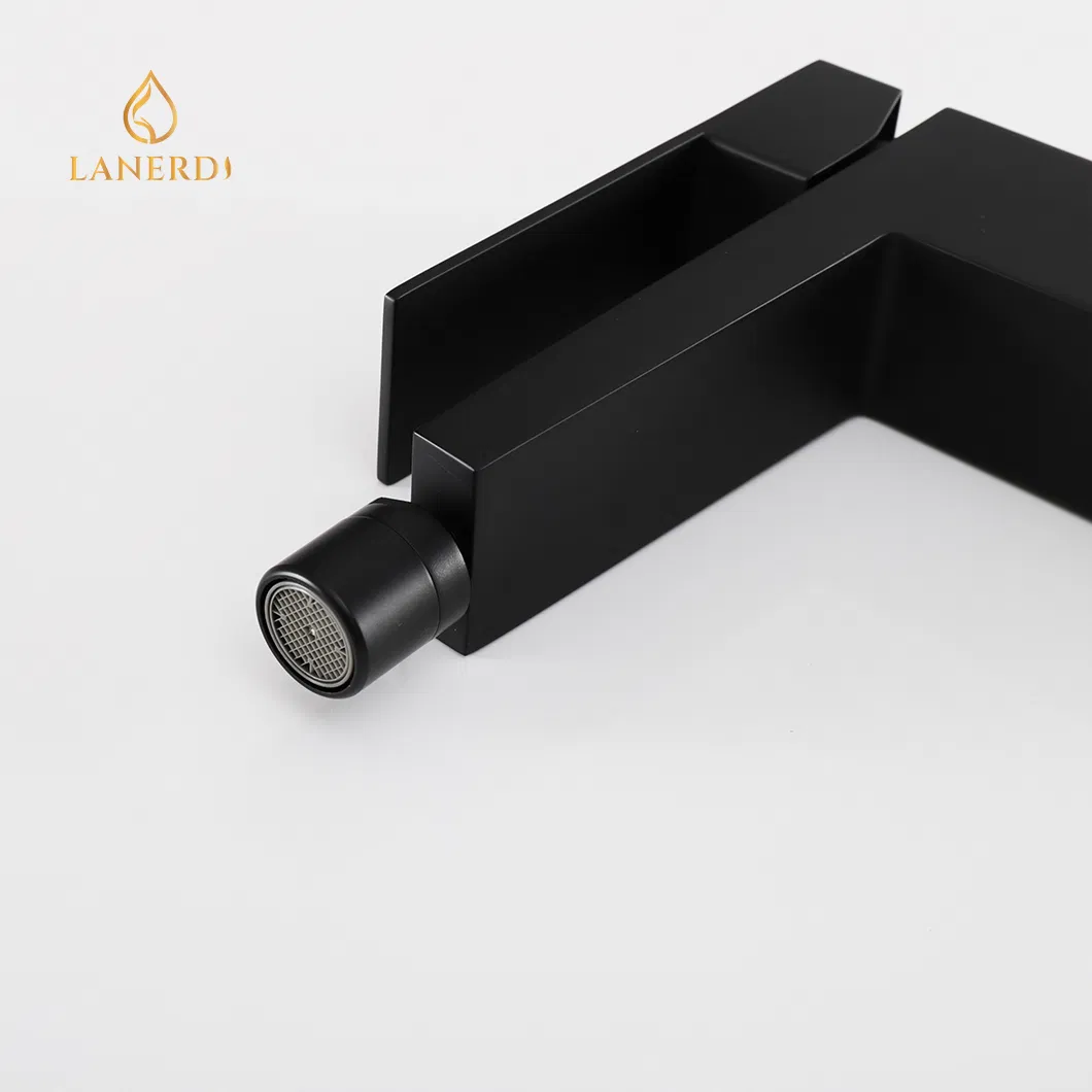 Смеситель для биде с поворотным изливом, нержавеющая сталь