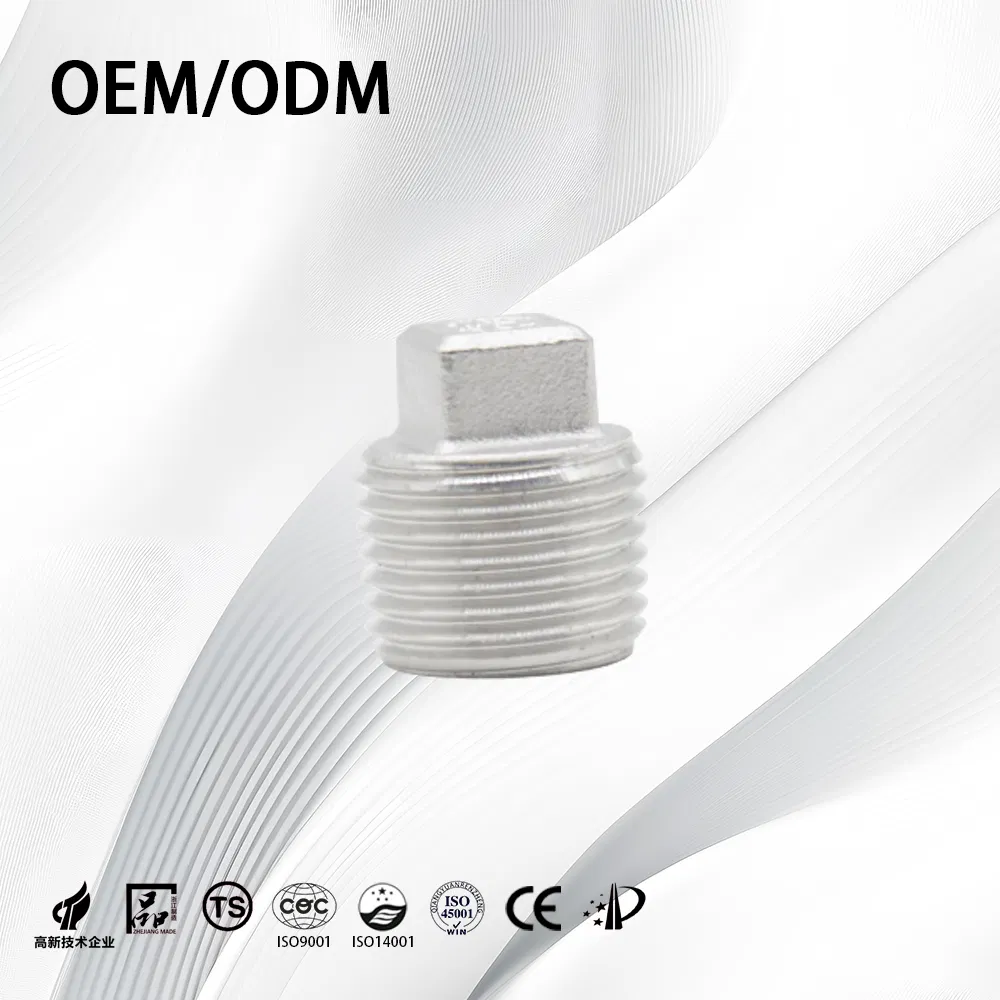 Stainless Steel Industrial Customize Anti-Corrosion End Plug with Square Head