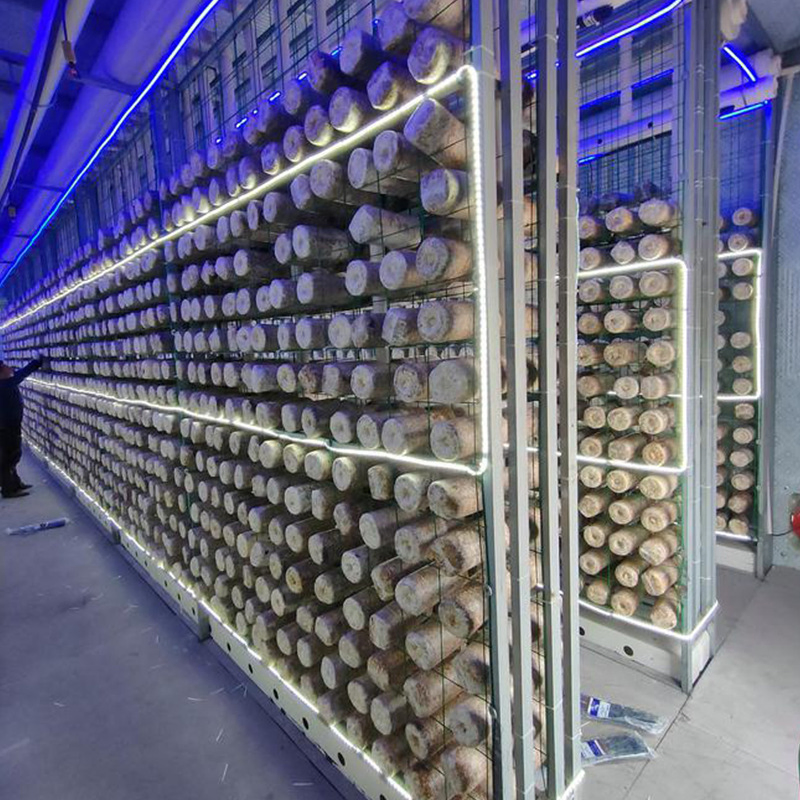 Original Manufacturer Low Cost Smart Growing Hydroponic Container Farm Agricultural Greenhouse Smart Farm Vegetable Container Greenhouse