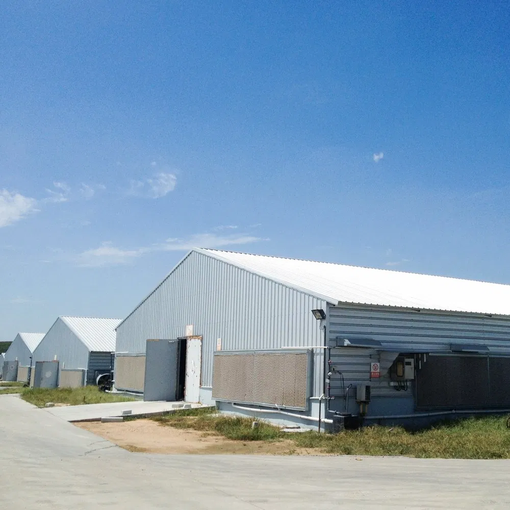 Prefabricated H Beam Prefab House Steel Small Poultry House From China